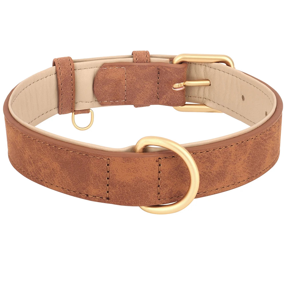 Soft Padded Dog Collar