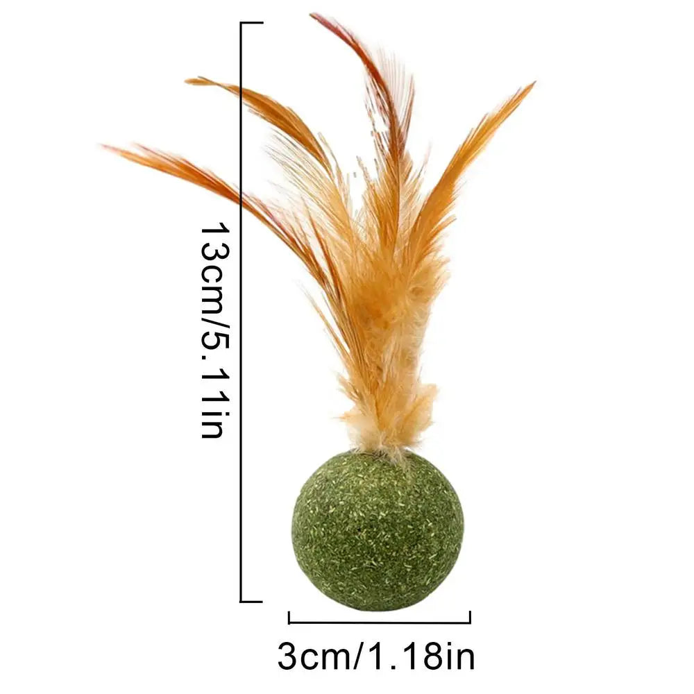 Interactive Catnip Spring Cat Toy