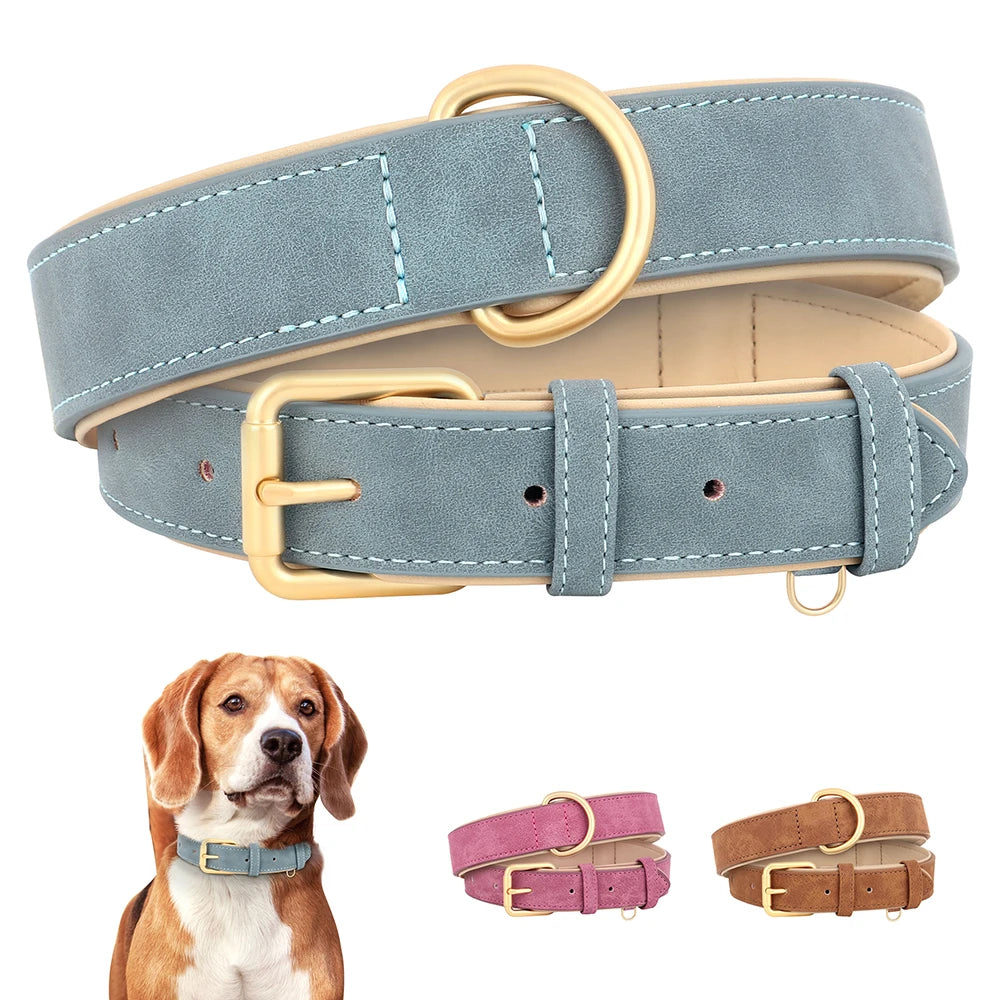 Soft Padded  Dog Collar