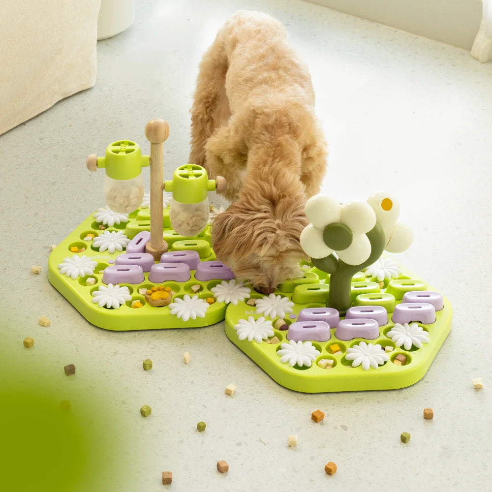 Interactive Pet Puzzle Toy