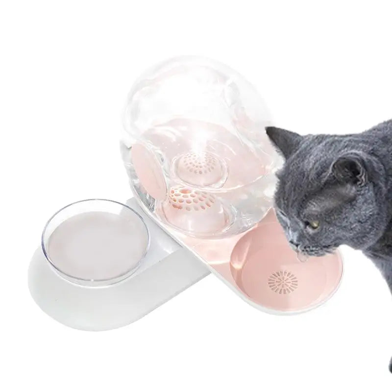 2-in-1 Pet Water Filtered Dispenser