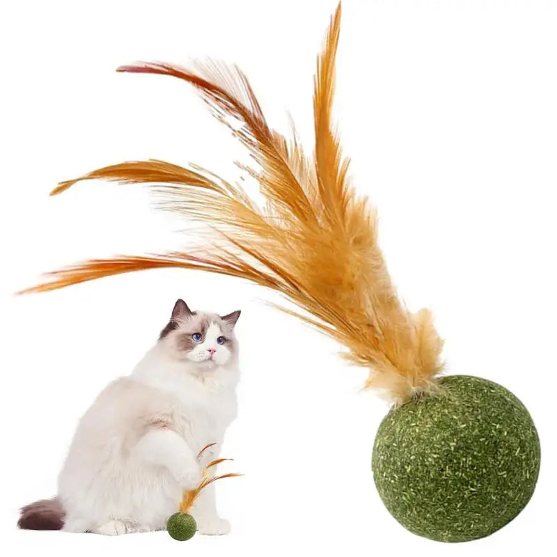 Interactive Catnip Spring  Cat Toy