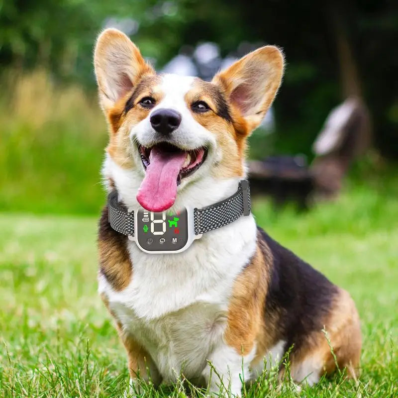 Barkproof Rechargeable Dog Collar