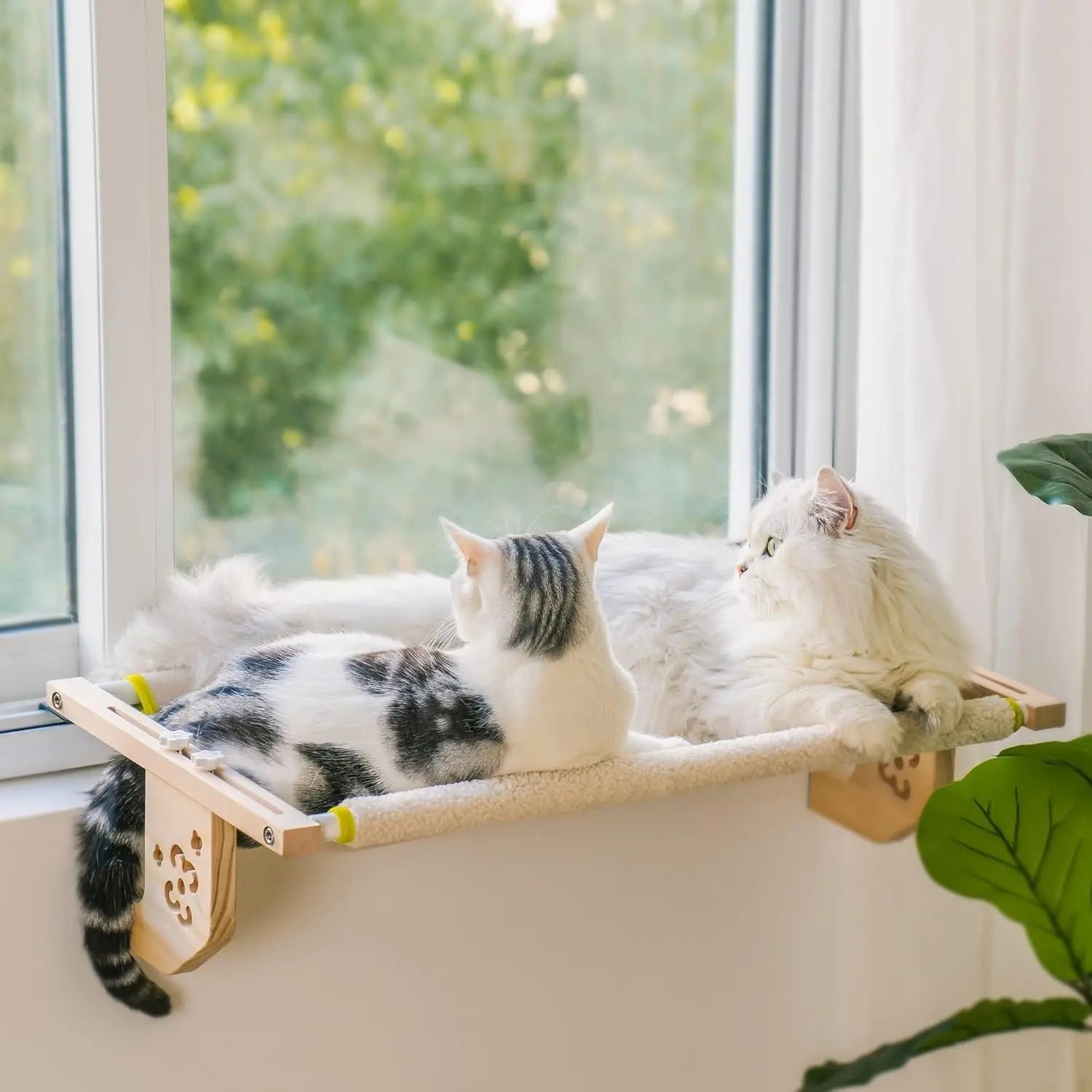 Cat Hanging Beds