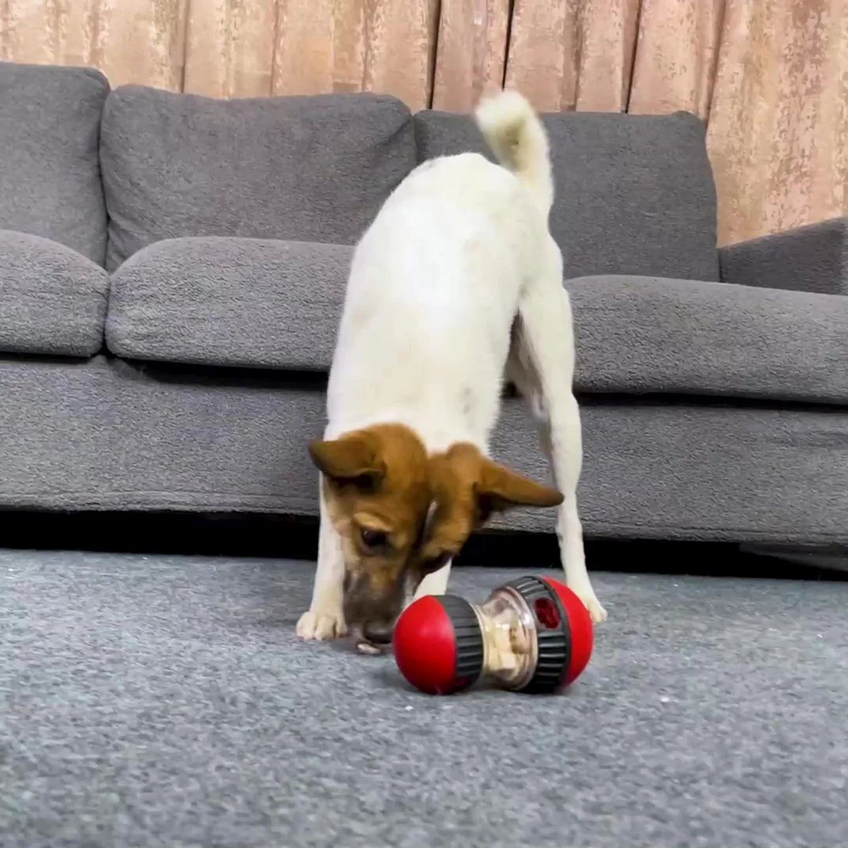 Slow Feeder Puzzle Toy Ball